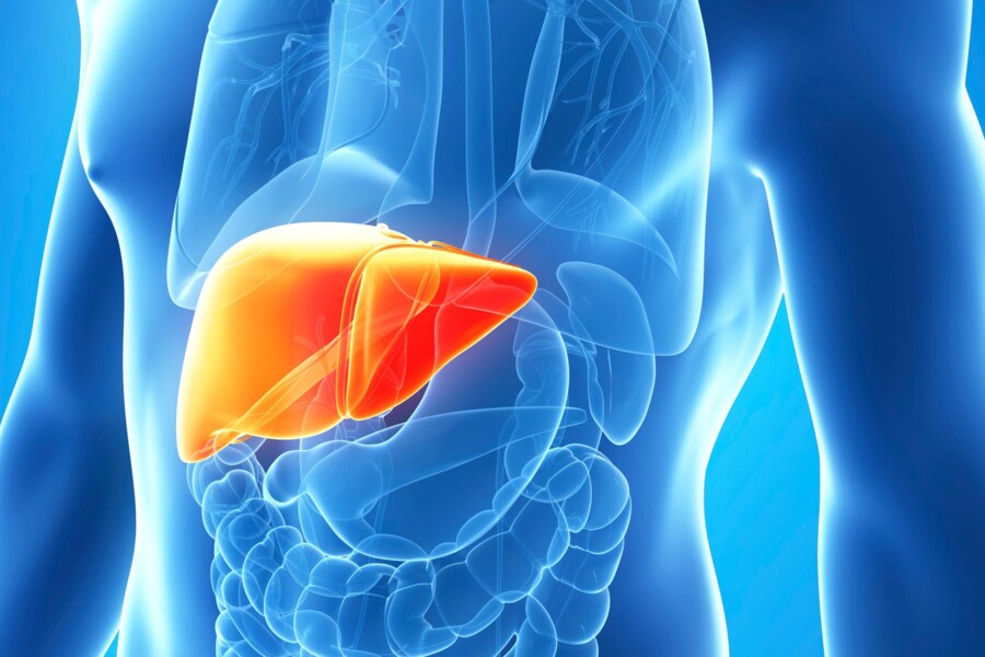 Hepatitida