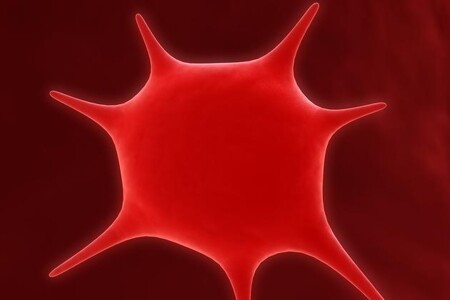 Trombocytopenie